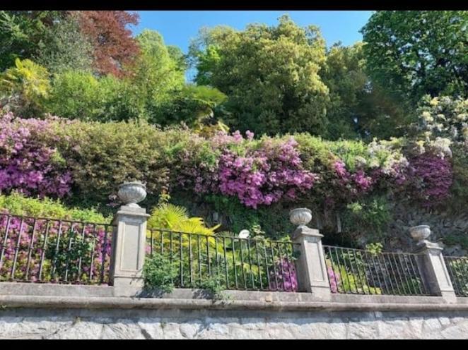 Willa Casa Ilda Orta San Giulio Zewnętrze zdjęcie